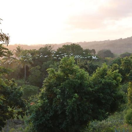 Sumba Nautil Resort Deke المظهر الخارجي الصورة