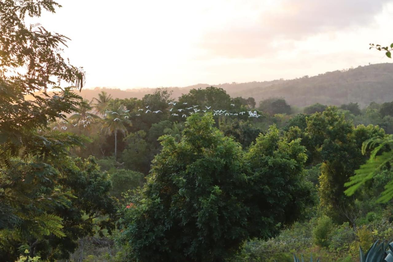 Sumba Nautil Resort Deke المظهر الخارجي الصورة