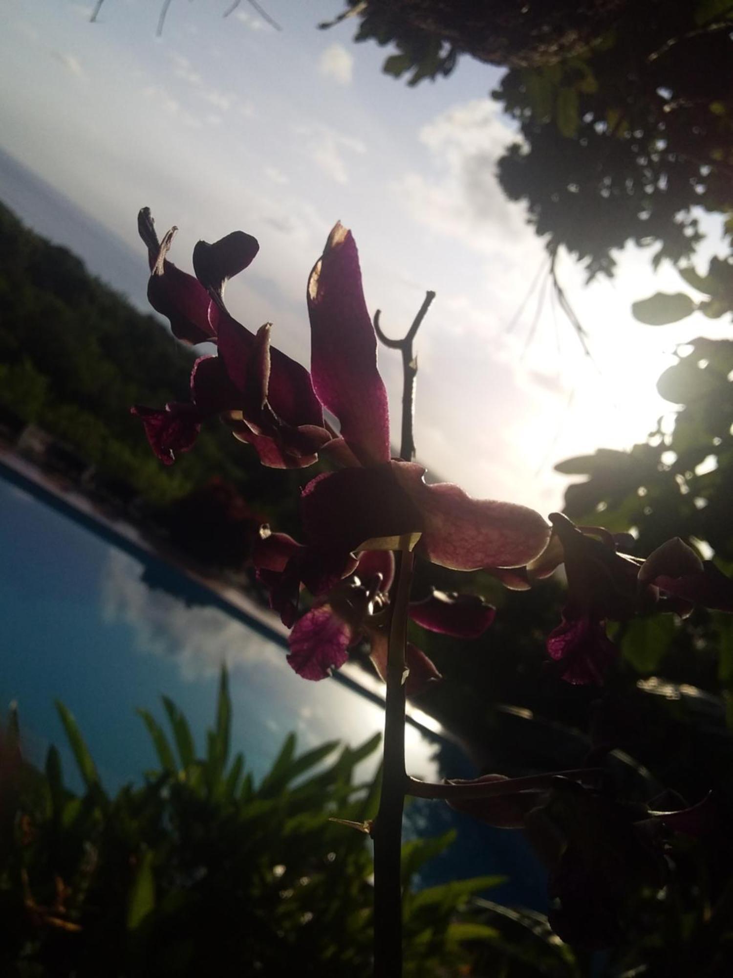 Sumba Nautil Resort Deke المظهر الخارجي الصورة
