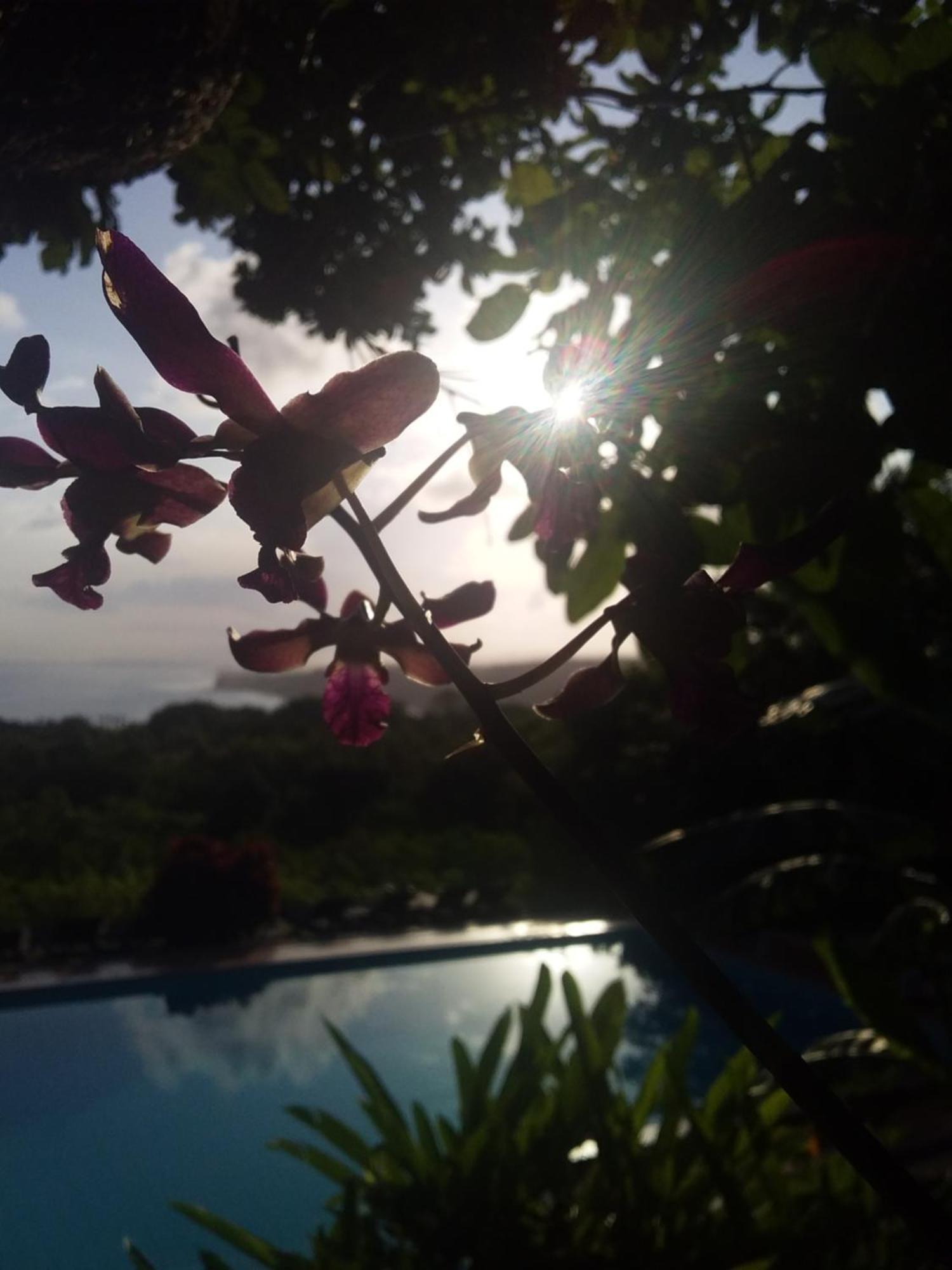 Sumba Nautil Resort Deke المظهر الخارجي الصورة